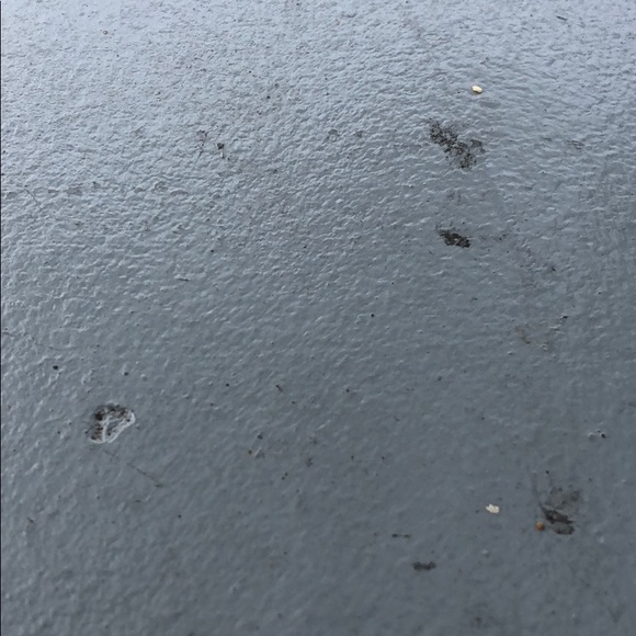 Meet your Posher, Manny - Picture 1 of 1